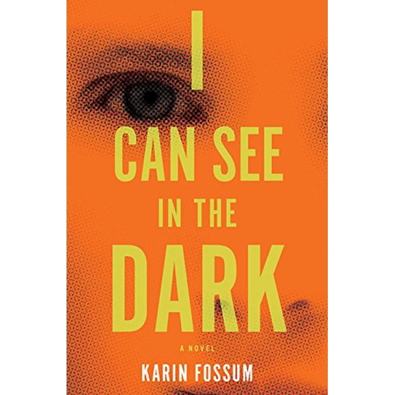 Pre-Owned I Can See in the Dark (Hardcover) 0544114426 9780544114425