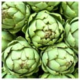 thumbnail image 2 of Everwilde Farms - 1 lb Green Globe Artichoke Seeds - Gold Vault Bulk Seed Packet, 2 of 4