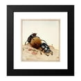 thumbnail image 2 of Edward Julius Detmold 20x21 Black Modern Framed Museum Art Print Titled - The Sacred Beetle (1921), 2 of 5
