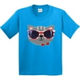 thumbnail image 3 of Inktastic 4th of July Girl Patriotic Cat Youth T-Shirt, 3 of 5