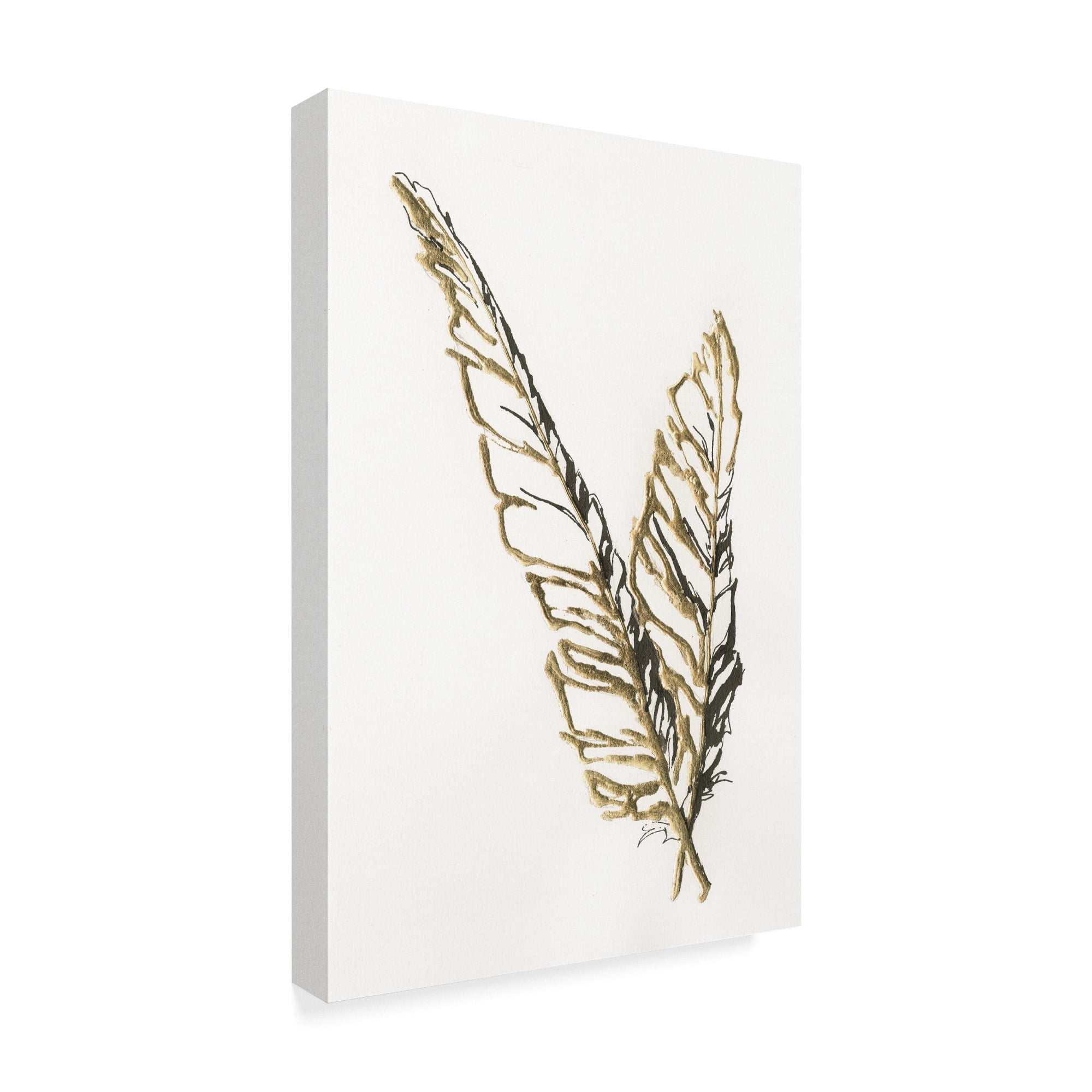 Trademark Fine Art 'Gilded Raven Feather' Canvas Art by Chris Paschke