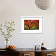 thumbnail image 4 of Japanese Maple, Framed Art Print Wall Art by Lantern Press Sold by Art.Com, 4 of 6