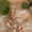 BEIGE, variant on Wedge Heel Sandals for Women, Double Buckle Slip-On Espadrilles with Platform and Cushioned Sole for Summer