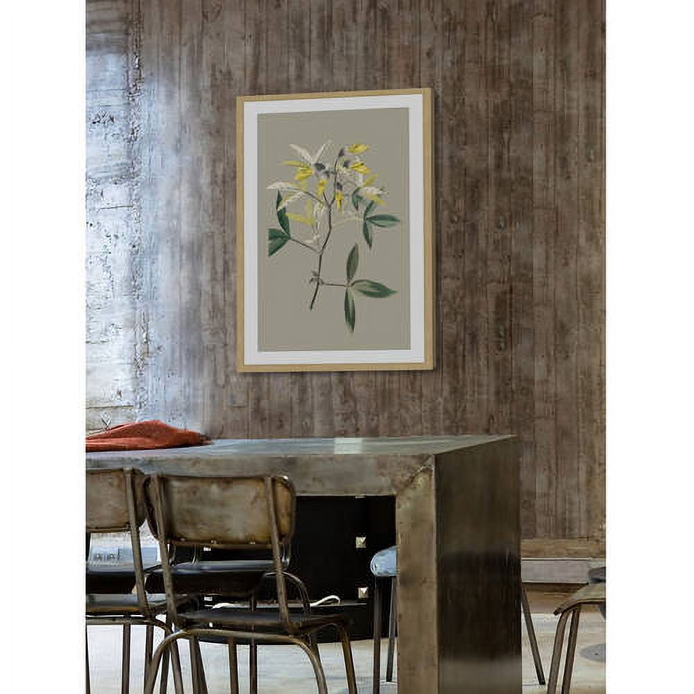 Marmont Hill "Botanical Cabinet VI" Framed Painting Print
