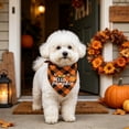 thumbnail image 4 of Halloween Dog Bandana, Reflective Plaid Pumpkin Ghost Scarf for Holiday Pet and Party Decor, 4 of 4