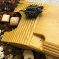 thumbnail image 2 of 2pcs Water Turtle Terrace Turtle Hiding Platforms Turtle Platforms (Yellow Wax), 2 of 4