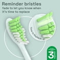 thumbnail image 4 of Replacement Toothbrush Heads Brushmo Compatible w/ Philips, 4 of 5