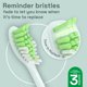 thumbnail image 4 of Cabezales de cepillo de dientes de repuesto compatibles con Brushmo con Philips, 4 of 5