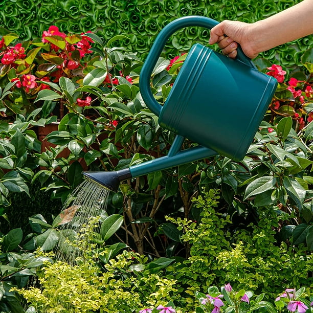 Watering Can for Outdoor Plants