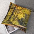 thumbnail image 7 of nygtbtfer Throw Pillow Cover Scenery Road Autumn Trees Artistic Art Print pilllowcase 22x22in, 7 of 7