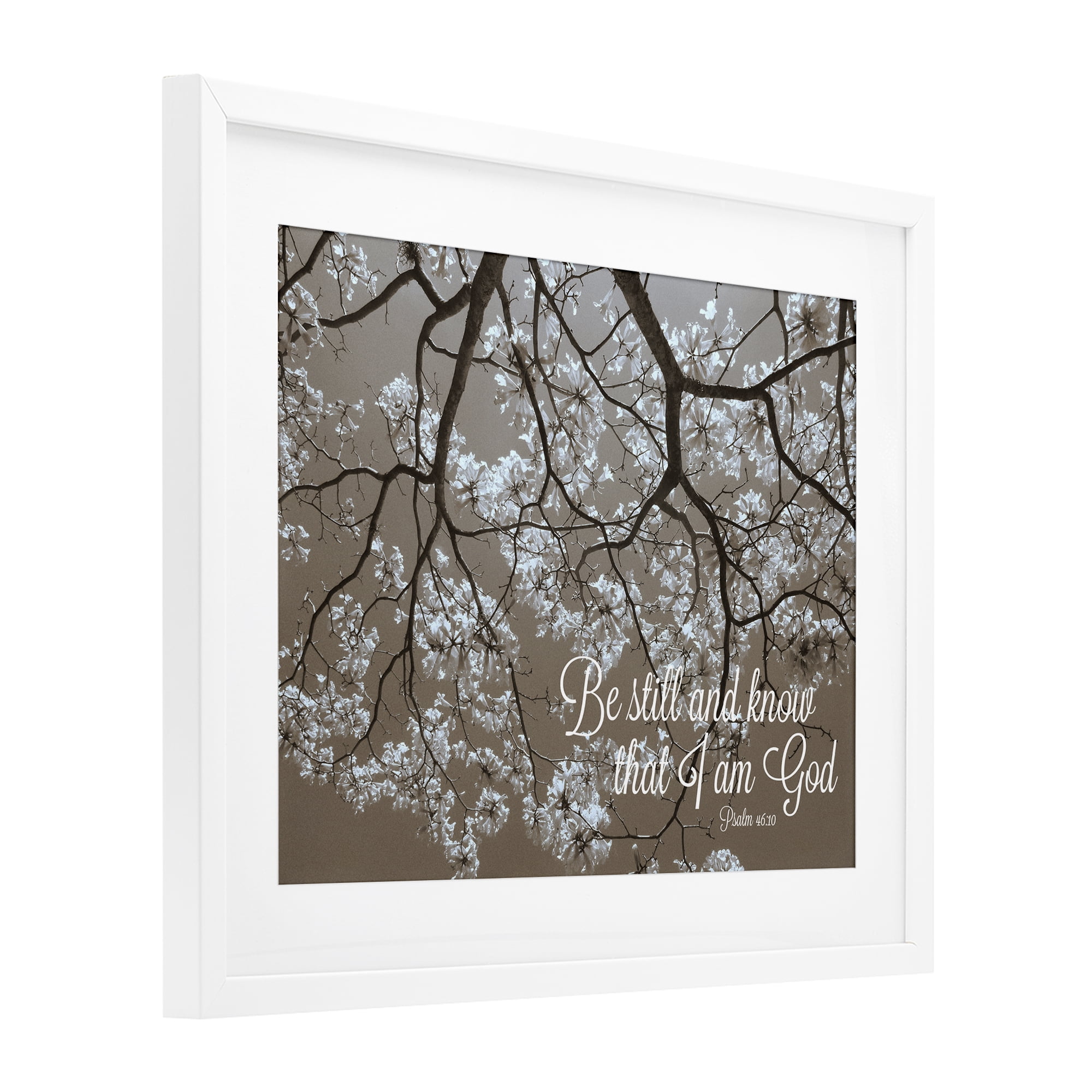 Stupell Industries Be Still Apple Blossoms White Framed Print Under Glass, design by Gail Peck
