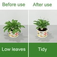 thumbnail image 4 of Advancent Soporte de planta verde fácil de colocar para un soporte de planta eficiente y confiable Jaula de soporte resistente Jardín y Patio, 4 of 6