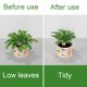 thumbnail image 4 of Inteprter Pila de soporte para plantas resistente y conveniente Solución fácil de instalar Soporte para plantas de soporte resistente Fácil Jardín y Patio, 4 of 6