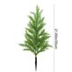 thumbnail image 3 of Christmas Tree Courtyard Garden Plugs, 3 of 6