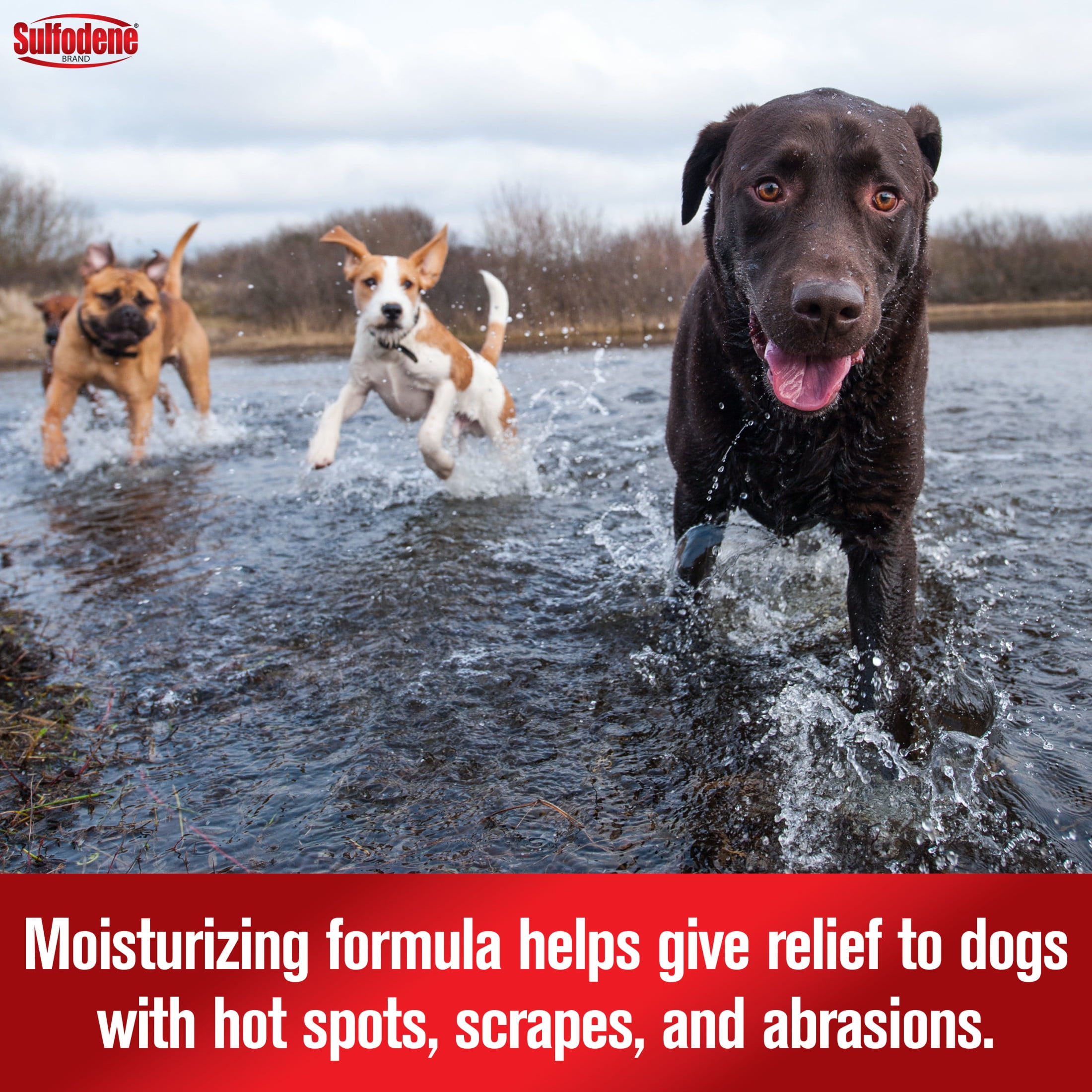 Sulfodene Hot Spot & Itch Relief Medicated Spray for Dog 8 Fluid Ounce