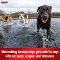 thumbnail image 4 of Sulfodene Medicated Spray for Dogs, Hot Spot and Itch Relief, 8 fl oz, 4 of 8