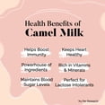 thumbnail image 4 of HYE FOODS Camel Milk Powder | 500g, 4 of 7