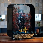 biOrb Yellow Sea Star Set - Aquarium Decor