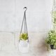 thumbnail image 4 of Maceta colgante con autorriego para plantas de exterior e interior con cadenas, 4 of 6