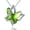 August Birthstone - Peridot Green Crystal, variant on Gift Butterfly Birthstone Crystal Necklace, Silver Tone with 18u201d+2u201d Chain, Necklace for Motheru2019s Day Anniversary Birthday Gifts for Women and Daughter