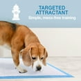 thumbnail image 6 of Four Paws Wee Wee Gigantic Potty Training Dog & Puppy Pads, Pet Pee Pads, XXL 8 Count, 6 of 11