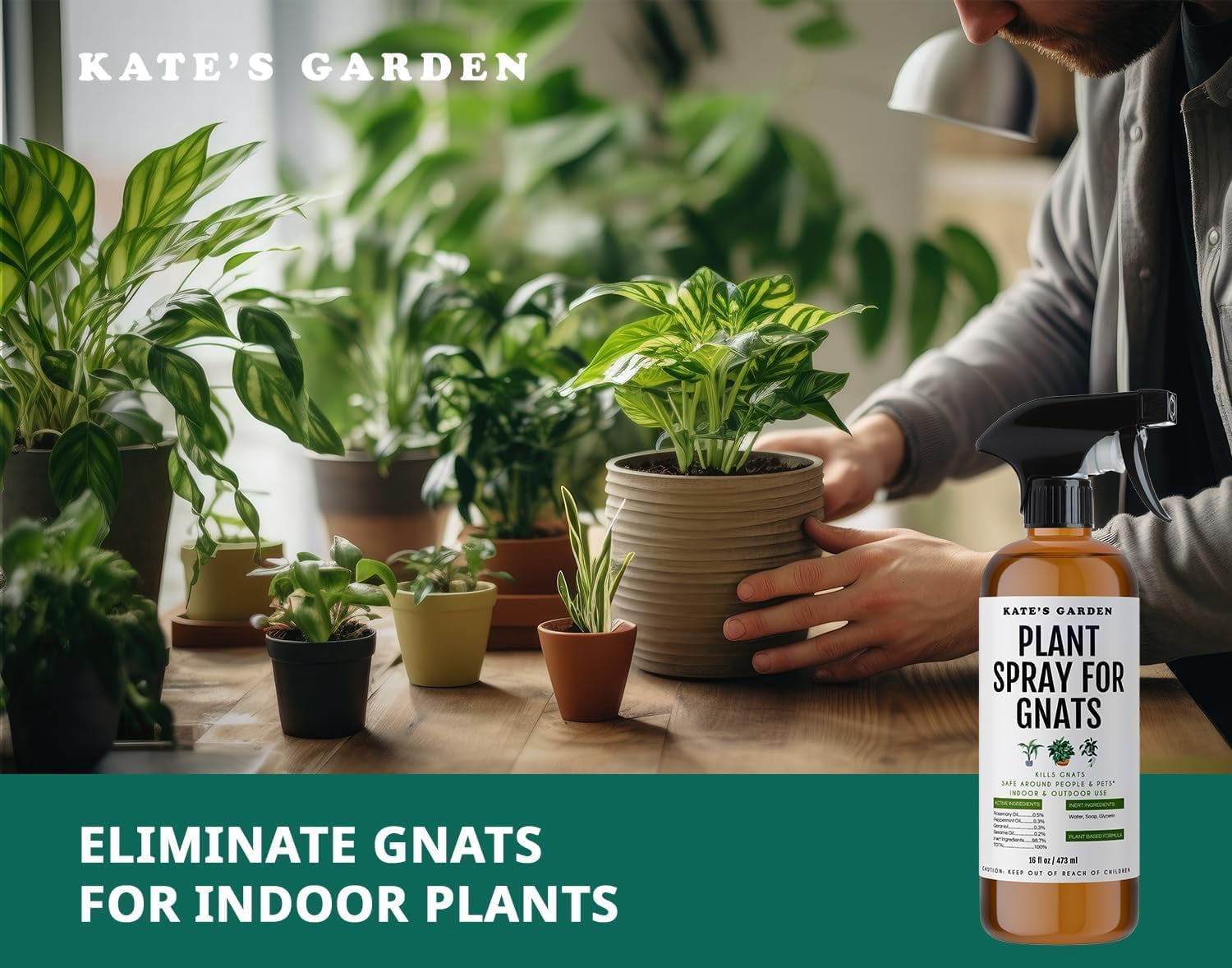 Plant Spray for Insects & Getting Rid of Gnats. Fungus Gnat Killer & Bug Spray for Indoor Plants (16oz, Pet Safe, Non Toxic)