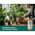 thumbnail image 5 of Plant Spray for Insects & Getting Rid of Gnats. Fungus Gnat Killer & Bug Spray for Indoor Plants (16oz, Pet Safe, Non Toxic), 5 of 6