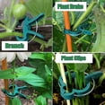 thumbnail image 3 of 60 Pieces Plant Clips For Fixing Tomatoes, Roses, Cucumbers And Other Climbing Plants 2 Sizes Reusable Plant Clips (30 Large Clips And 30 Small Clips), 3 of 5