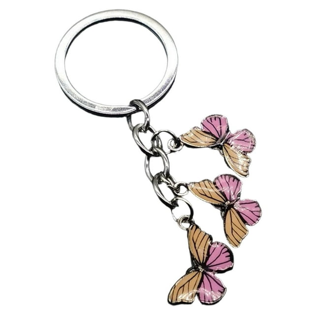 Hearth & Gear Durable Stainless Steel Keychain With Secure Locking Mechanism For Everyday Carry And Organization