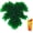 Green, variant on 100 Pcs Plastic Straws Disposable Drinking Straw Bulk for Cocktail Summer Wedding Birthday Party Spooky Party Supplies(Red,White,Christmas Stocking)