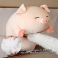 thumbnail image 3 of BR Almohada de peluche de cerdo de peluche suave, juguete de peluche de cerdo lindo y tierno, regalo perfecto para niños y amantes de los cerdos, 3 of 5