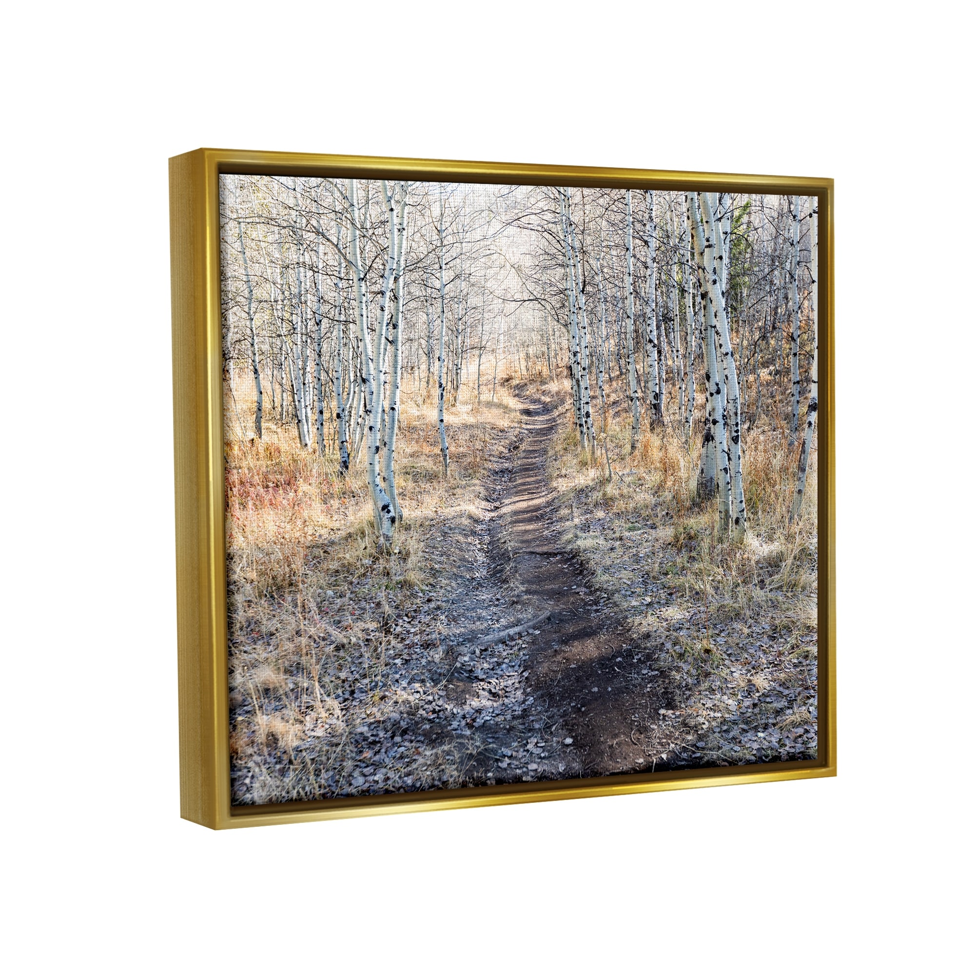 Stupell Industries Dirt Path Between Birch Tree Forest Woodland Scene Photograph Metallic Gold Floating Framed Canvas Print Wall Art, Design by Steve Smith