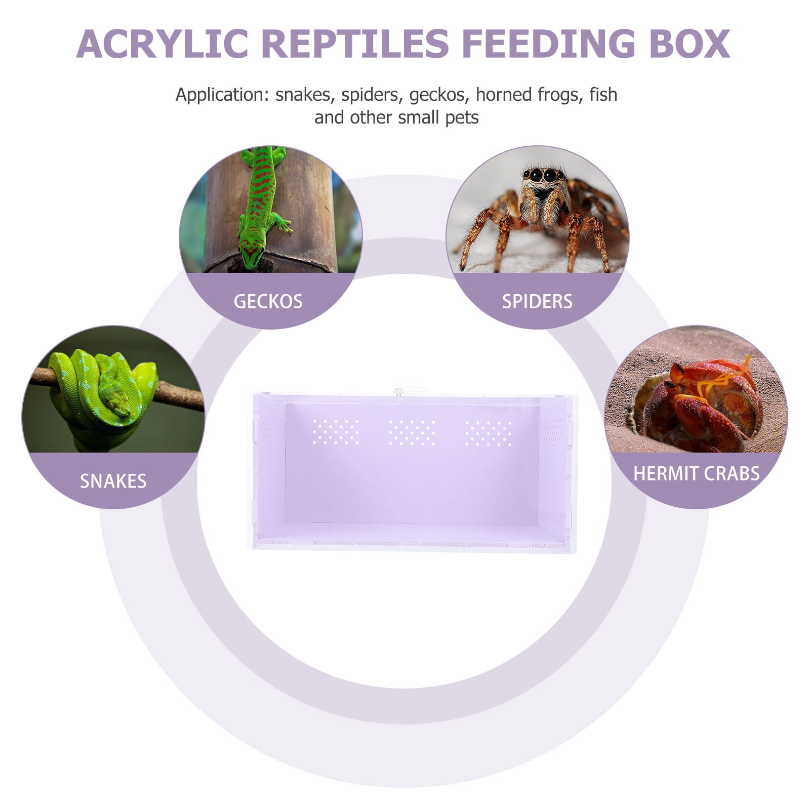 OFFIGAM White Acrylic Reptile Terrarium with Ventilation Holes for Safe, Comfortable, and Secure Care