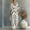 White, variant on Women Dressy Casual Jumpsuits Elegant High Waist Side Ruched Romper Summer Casual Boho Floral Short Sleeve Jumpsuit Trendy Loose Flowy One Piece Bodysuit (White,XXXL)