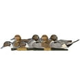 thumbnail image 1 of Avian X Topflight Pintails, Realistic Floating Decoys, Set of 6, Multicolor, 1 of 10