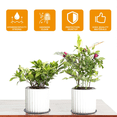 thumbnail image 3 of 24PCS Absorbent Waterproof Plant Coasters Mat,4/6/ 8/10 Inch Reversible Round Fabric Plant Coasters and Plant Saucers, 3 of 6