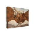 thumbnail image 2 of Trademark Fine Art 'Hook em Horns II' Canvas Art by Kathy Winkler, 2 of 4