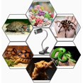 thumbnail image 5 of Lámpara para reptiles de 50 W Lámpara de tortuga calentada con base larga Rotación de 360° para reptiles y anfibios TUNC Sencillez, 5 of 5