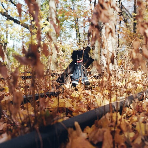 Billy Woods - Golliwog - Music & Performance - Vinyl