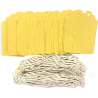 Fluorescent Neon Blank Strung Merchandise Pricing Tags with String, 5 Tags,  1.1 W x 1.75 H, 100 Pack 