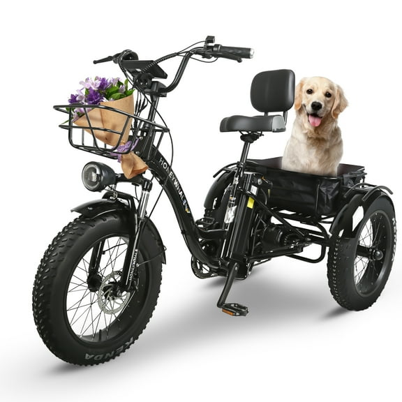 Bicicleta Eléctrica Honey Whale S13 Negro