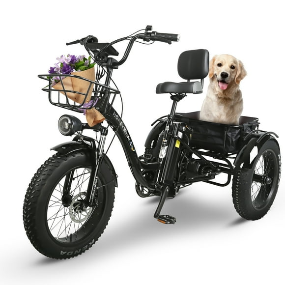 Bicicleta Eléctrica Honey Whale S13 Negro