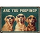 thumbnail image 1 of Letrero decorativo de metal vintage con texto "Are You Pooping" de Golden Retriever para pared de baño, 8 x 12 pulgadas, 1 of 9