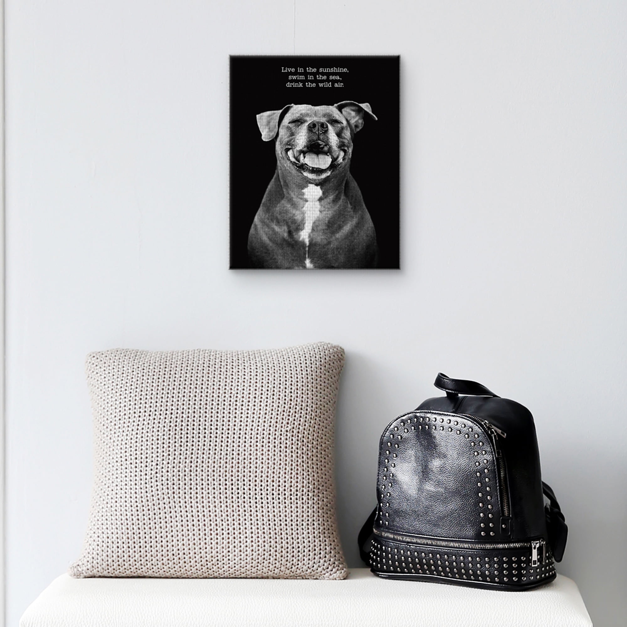 Masterpiece Art Gallery Sugar The Dog By Frank Bruynbroek Canvas Art Print 11" x 14"