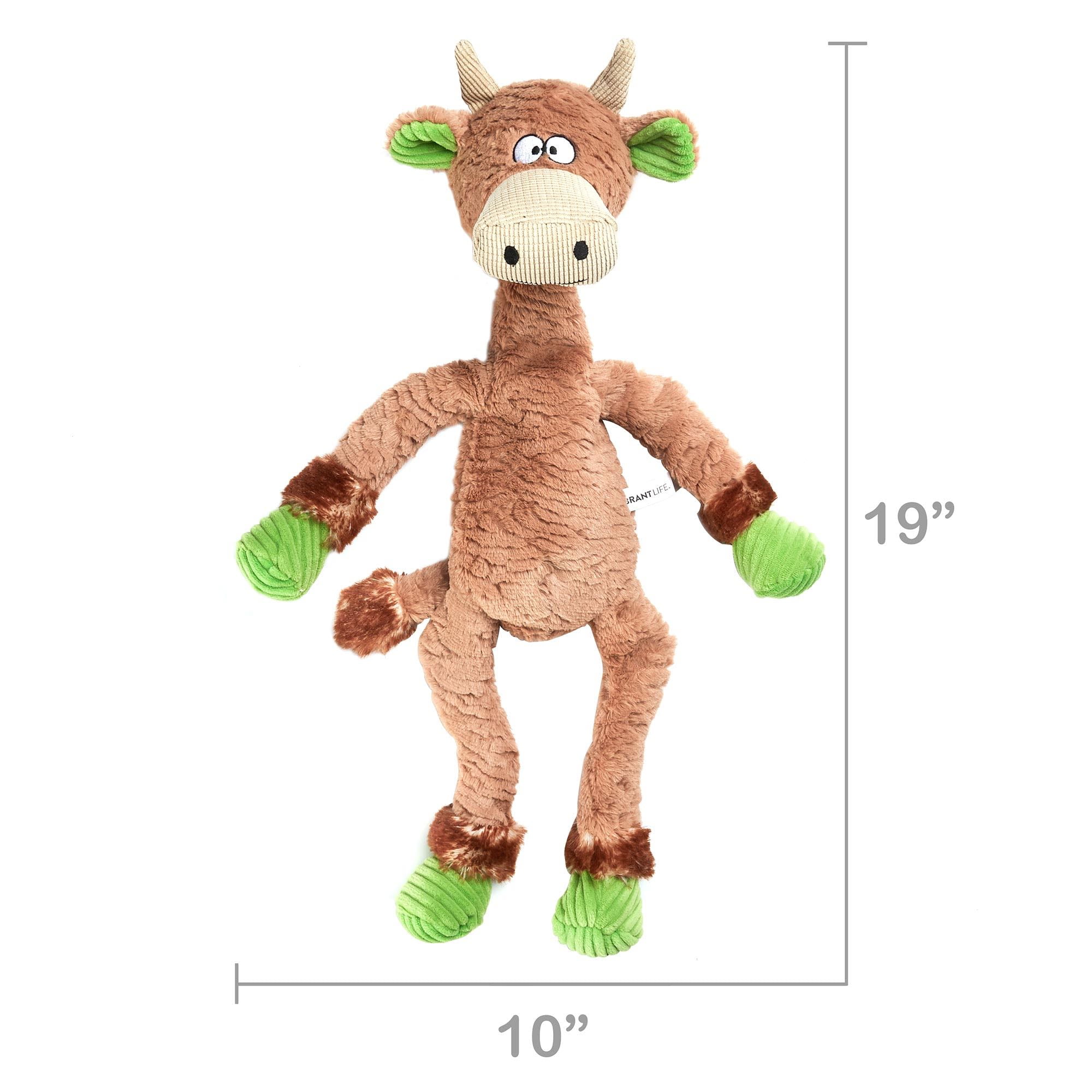 vibrant life tough buddy