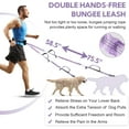 thumbnail image 3 of Hands Free Dog Leash with Zipper Pouch, Dual Padded Handles and Durable Bungee for Walking, Jogging and Running Your Dog, 3 of 16