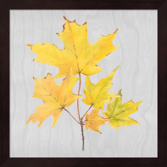 Autumn Leaves II by Dianne Miller, Framed Wall Art, 13.25W x 13.25H