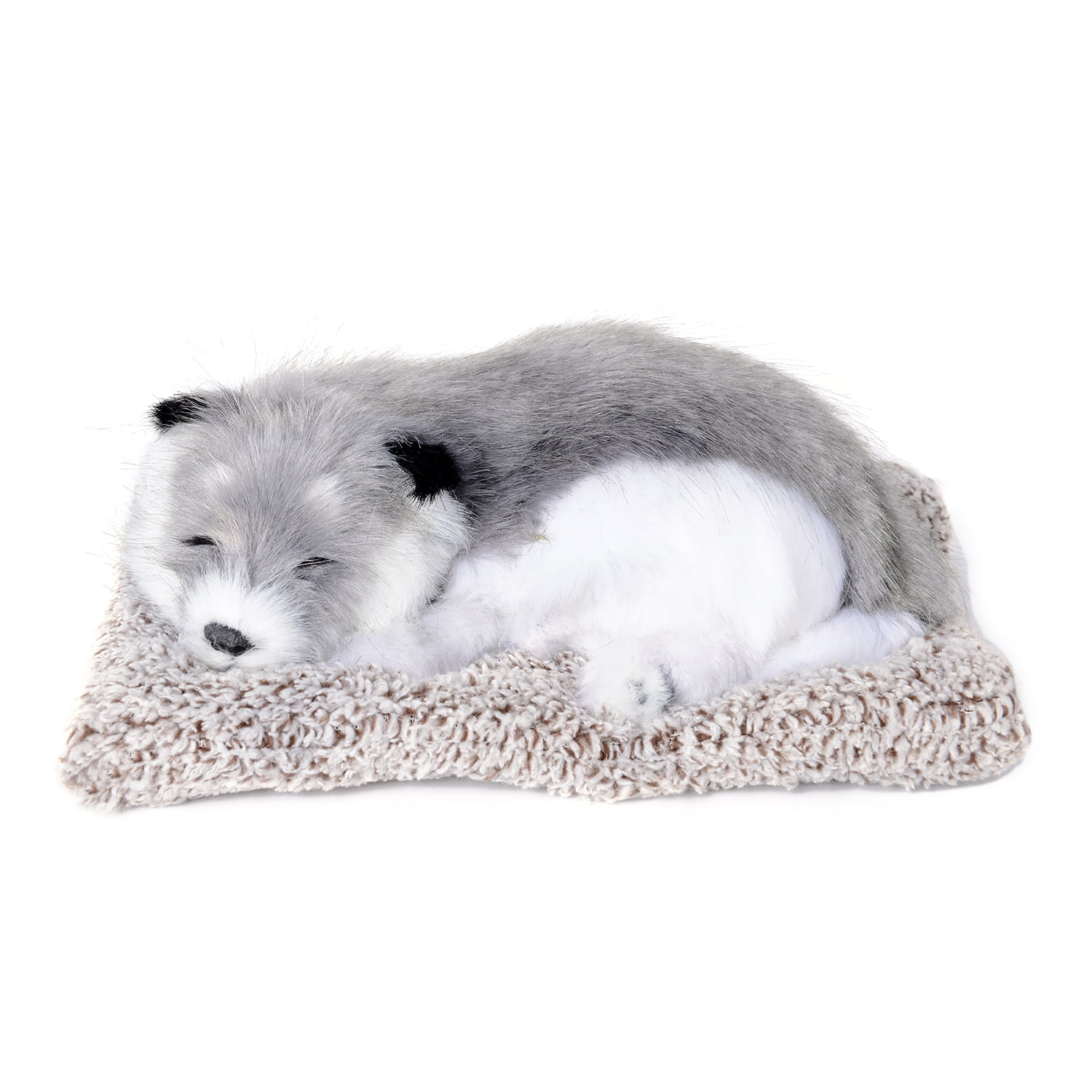Border Collie Puppy Pet Dog Sleeping on Mat Warm Soft Bed