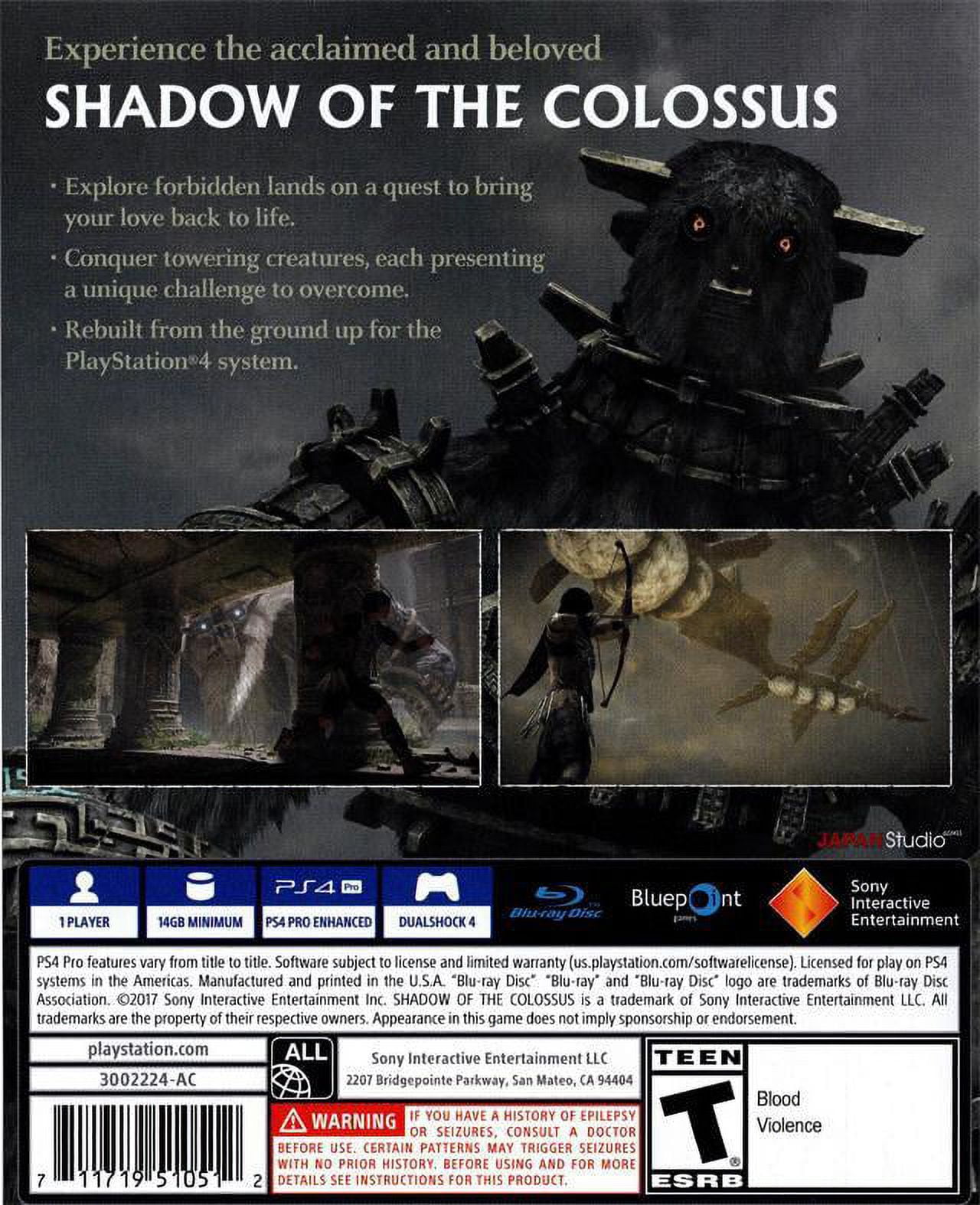Shadow of the Colossus - Replacement PS4 Cover and Case. NO GAME!!