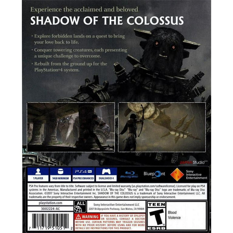 Shadow of the Colossus [PlayStation 4] 